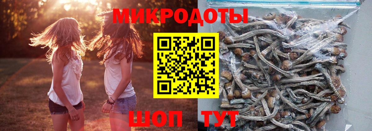 Отрадное  Псилоцибиновые грибы мицелий  Вход с VPN 