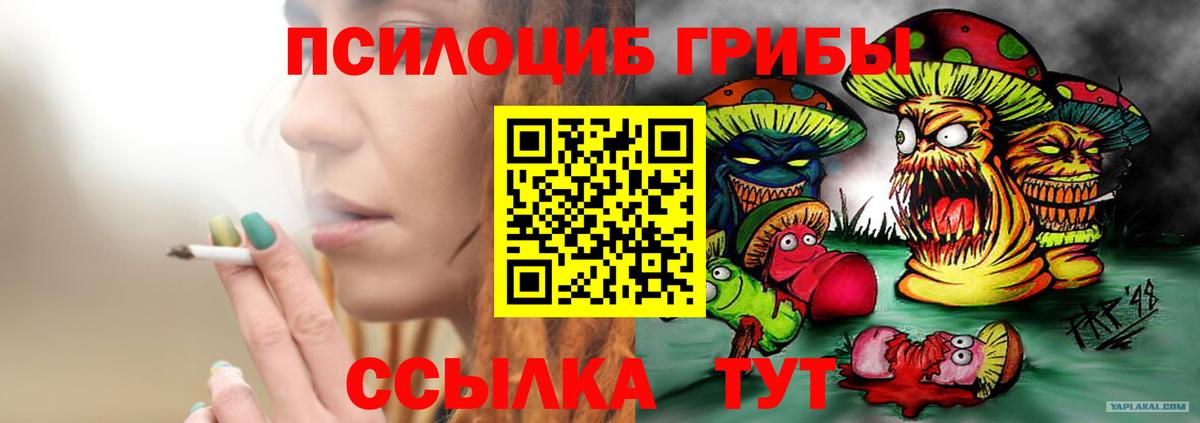 Псилоцибиновые грибы MAGIC MUSHROOMS Отрадное